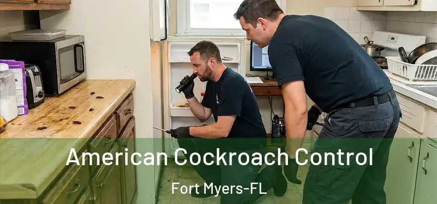  American Cockroach Control Fort Myers-FL