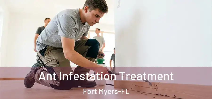 Ant Infestation Treatment Fort Myers-FL