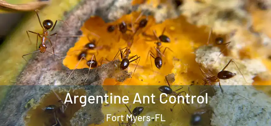  Argentine Ant Control Fort Myers-FL