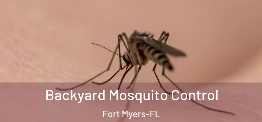 Backyard Mosquito Control Fort Myers-FL