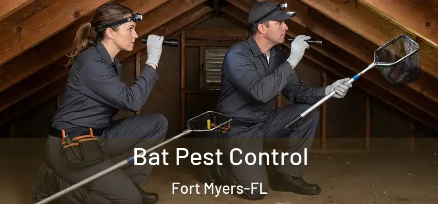  Bat Pest Control Fort Myers-FL