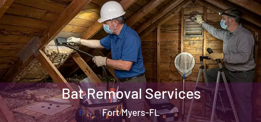  Bat Removal Services Fort Myers-FL