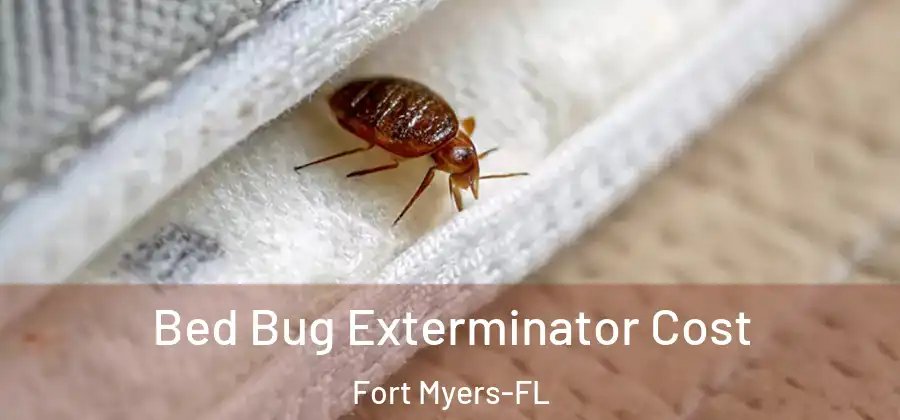 Bed Bug Exterminator Cost Fort Myers-FL