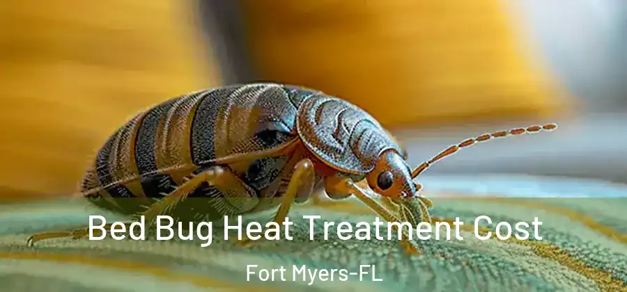  Bed Bug Heat Treatment Cost Fort Myers-FL