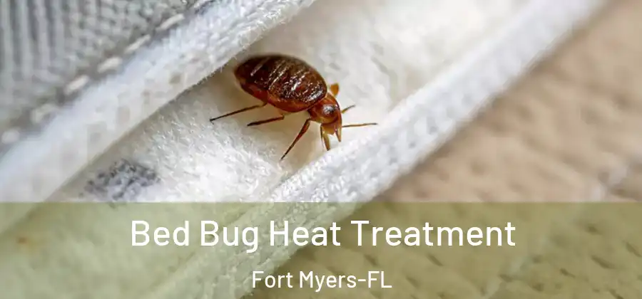 Bed Bug Heat Treatment Fort Myers-FL