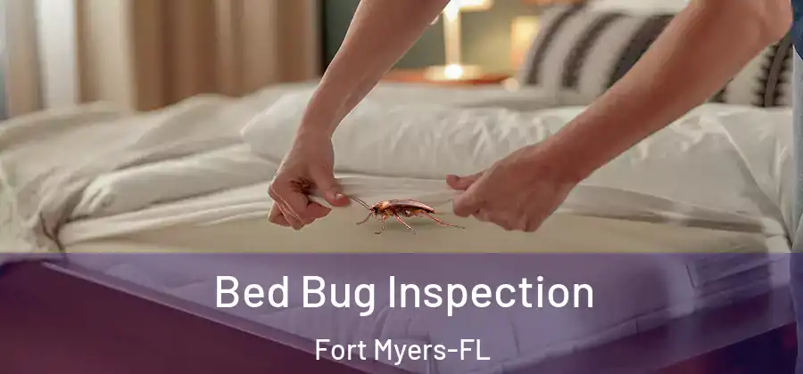Bed Bug Inspection Fort Myers-FL