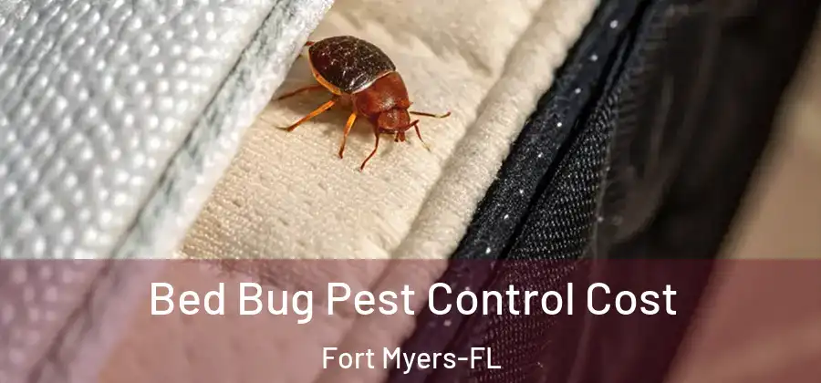  Bed Bug Pest Control Cost Fort Myers-FL