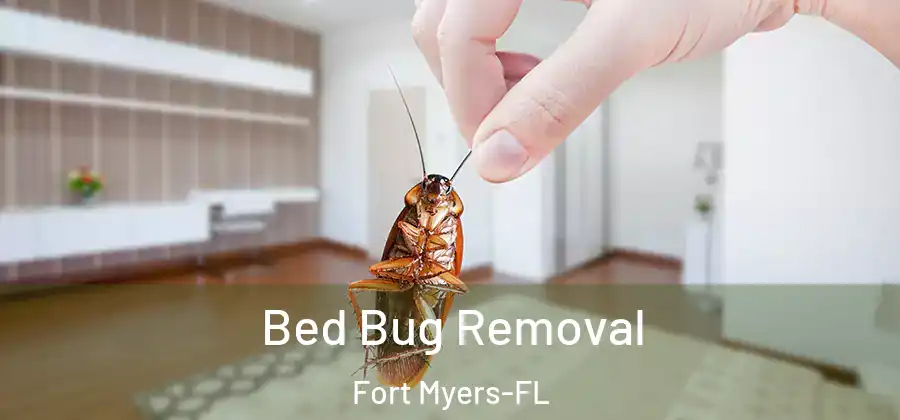 Bed Bug Removal Fort Myers-FL