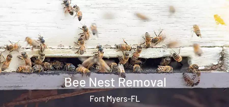  Bee Nest Removal Fort Myers-FL