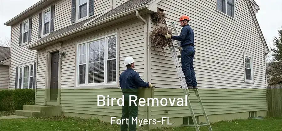 Bird Removal Fort Myers-FL