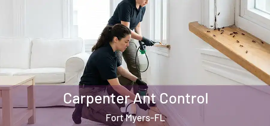 Carpenter Ant Control Fort Myers-FL