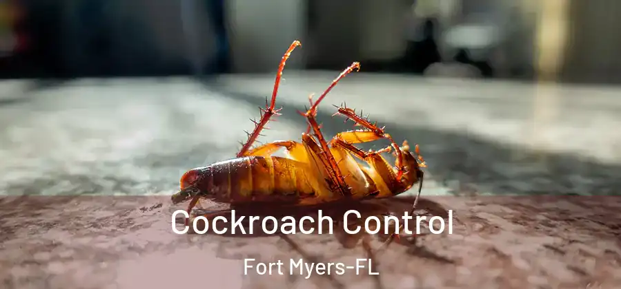 Cockroach Control Fort Myers-FL