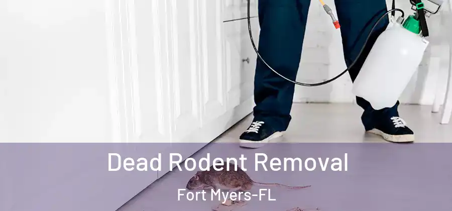  Dead Rodent Removal Fort Myers-FL