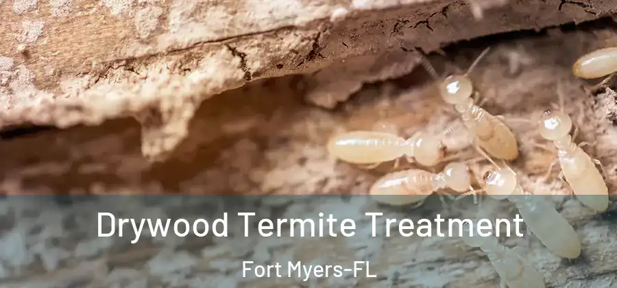  Drywood Termite Treatment Fort Myers-FL