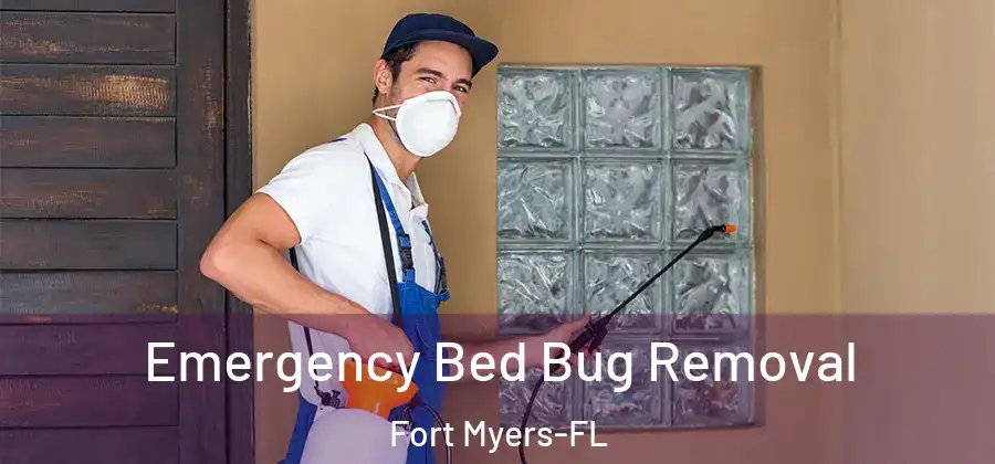  Emergency Bed Bug Removal Fort Myers-FL