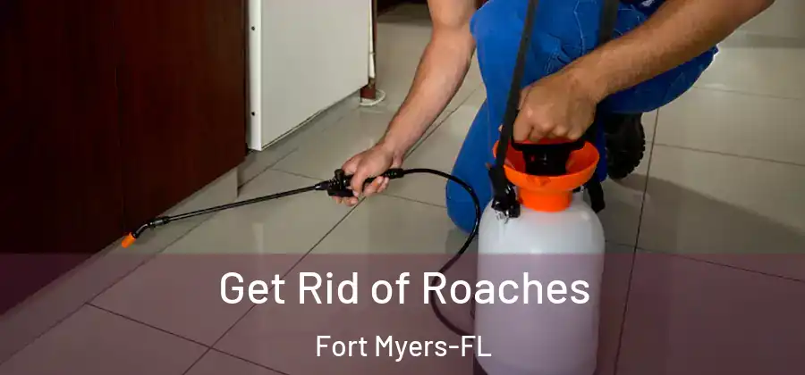  Get Rid of Roaches Fort Myers-FL