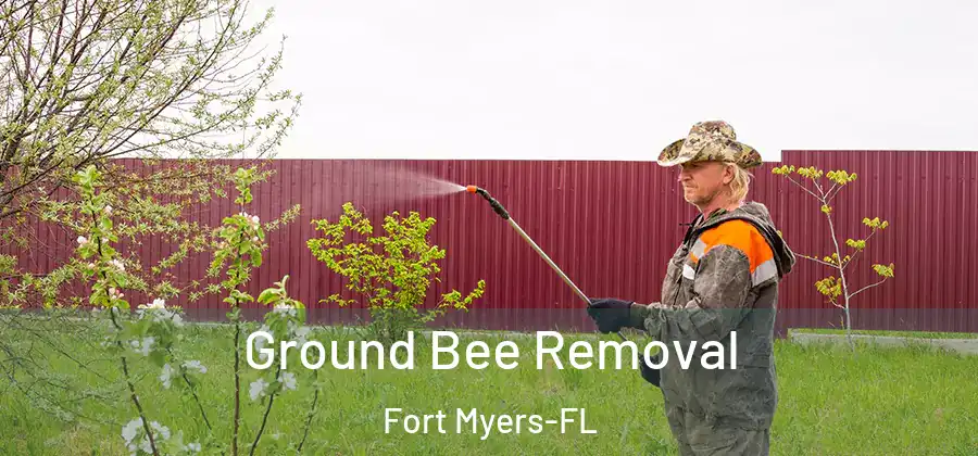  Ground Bee Removal Fort Myers-FL