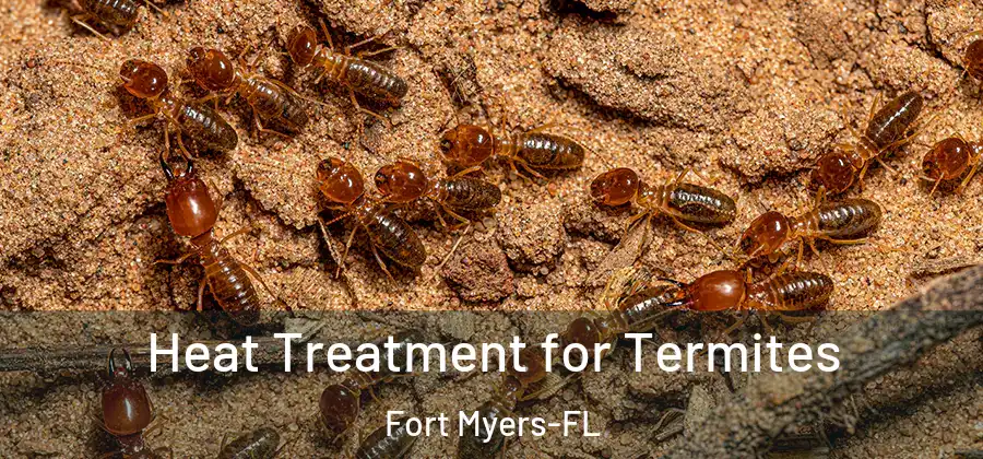 Heat Treatment for Termites Fort Myers-FL