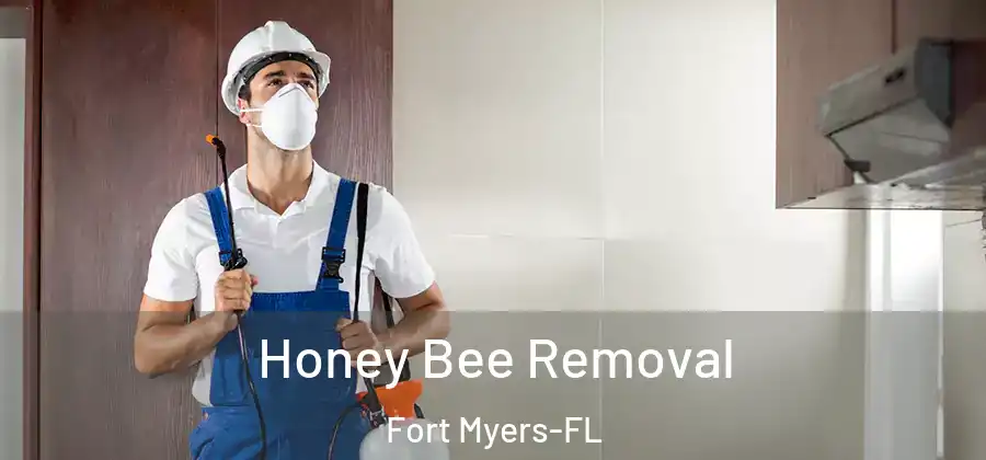 Honey Bee Removal Fort Myers-FL
