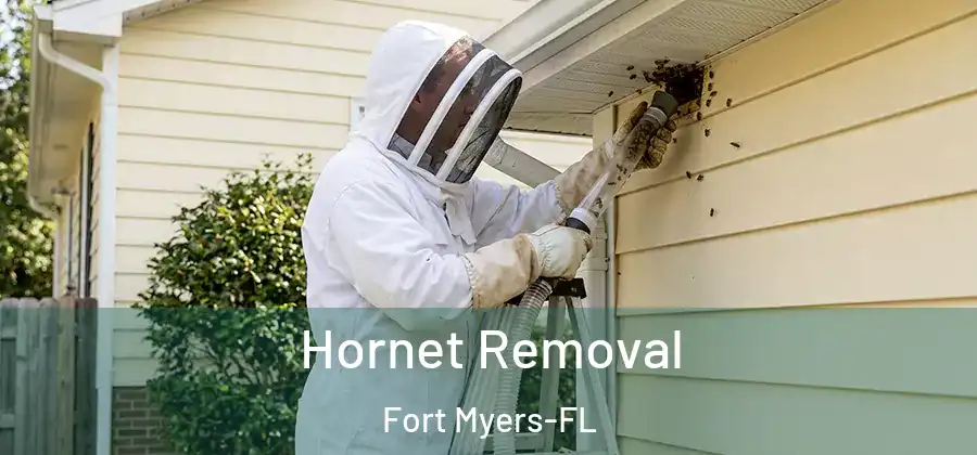 Hornet Removal Fort Myers-FL