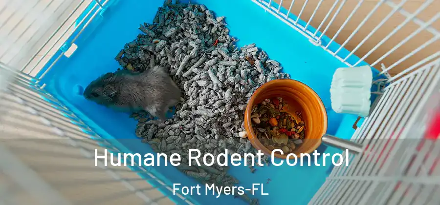  Humane Rodent Control Fort Myers-FL