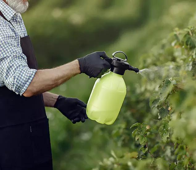 Your Proven Mosquito Treatment Company in Fort Myers, FL