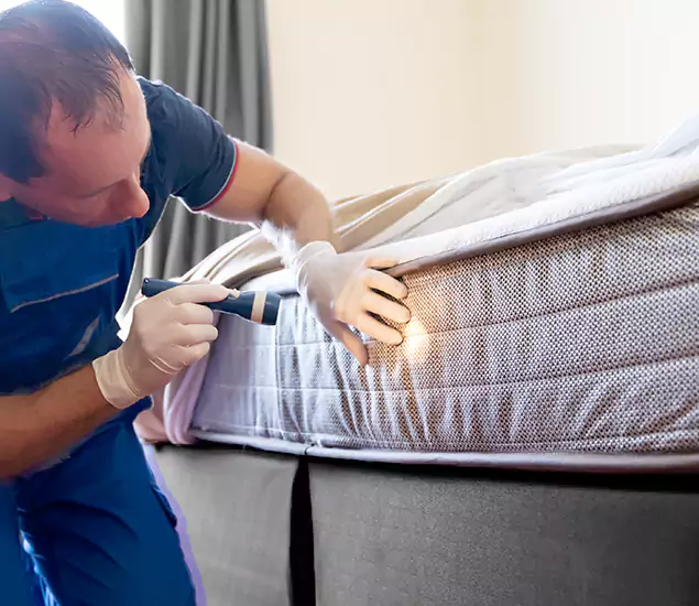 Trusted Bed Bug Cost Experts in Fort Myers, FL