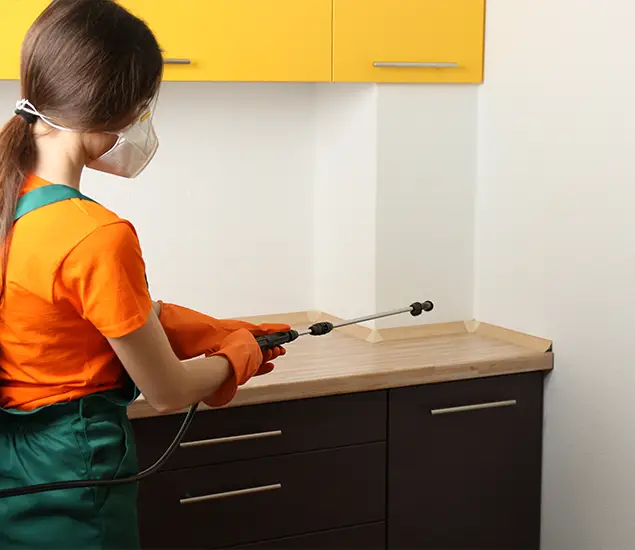 Trusted Bed Bug Pest Control Specialist in Fort Myers, FL