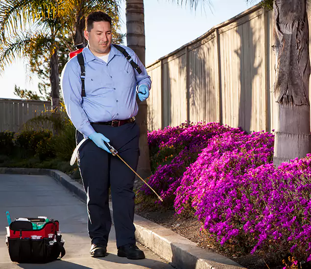 About Our Eco Safe Pest Control Experts in Fort Myers, FL