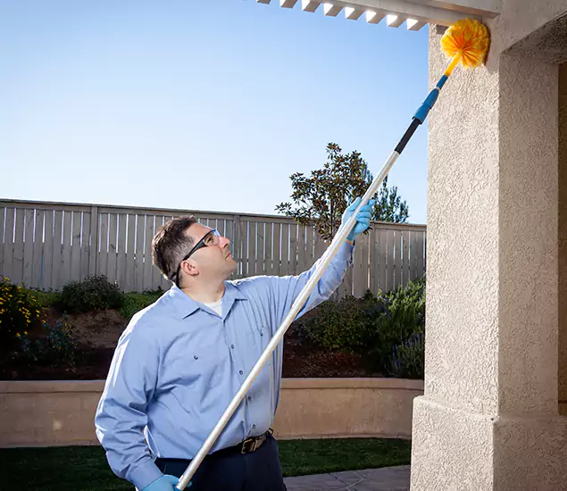 Trusted Experts in Fort Myers FL for Formosan Termite Treatment and Black Termite Control