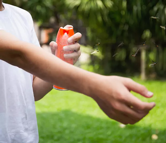 Your Best Indoor Bug Killer Team in Fort Myers, FL