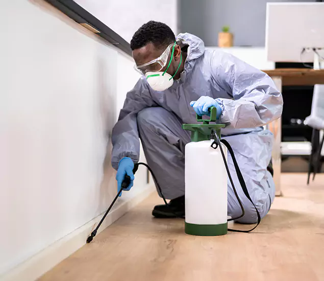 Leading Industrial Pest Control Experts Serving Fort Myers, FL