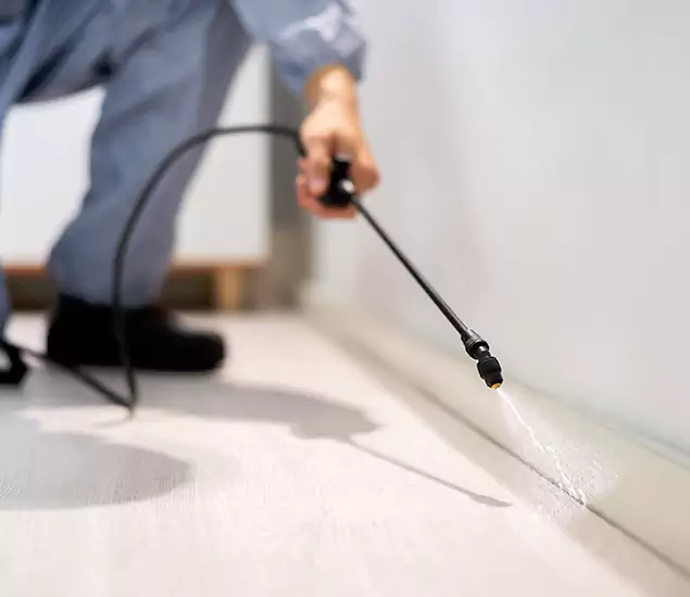 About Our Liquid Termite Treatment Experts in Fort Myers, FL