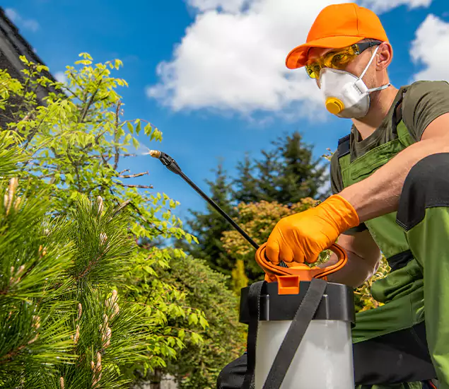 Your Mosquito Repellent Barrier Service in Fort Myers, FL