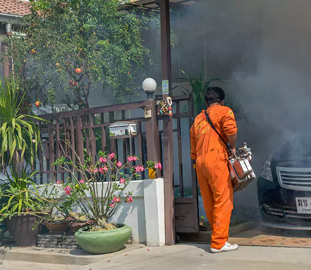 Your Proven Mosquito Fogging Company in Fort Myers, FL