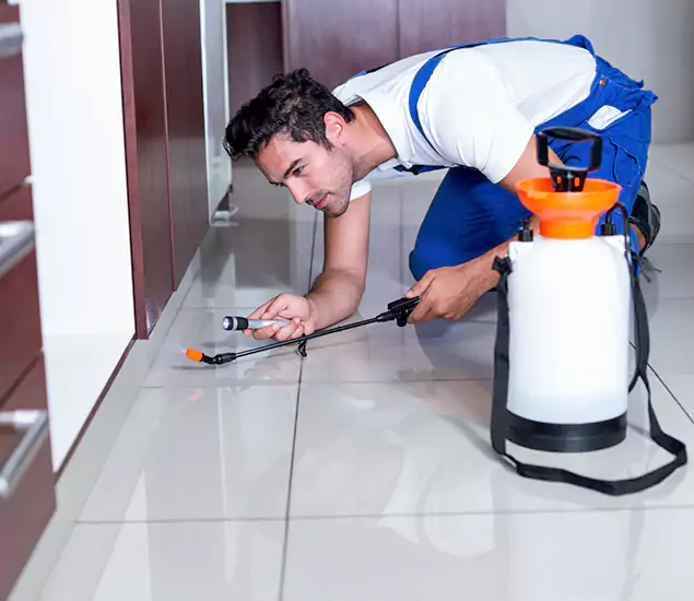 Reliable Professional Mouse Removal: Your Best Mouse Control Company in Fort Myers, FL