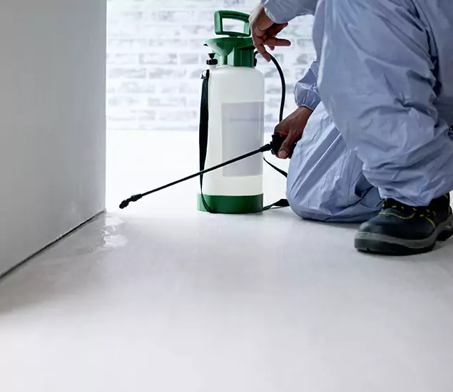 Affordable Pest Control Experts in Fort Myers, FL