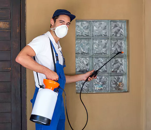 in Fort Myers, FL Advanced Outdoor Pest Control Solutions by Fort Myers Pest Control Pro