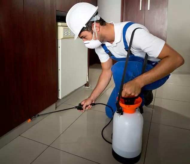 Advanced Termite Pre Treatment Experts in Fort Myers, FL