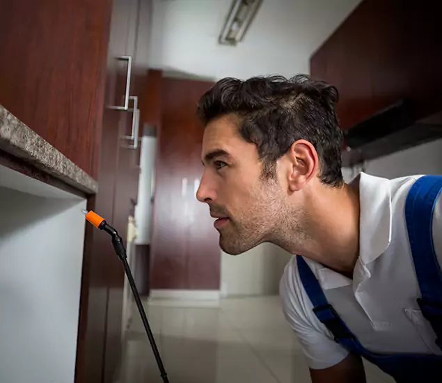 Expert Rodent in Attic Removal: Your Proven Pest Specialists in Fort Myers, FL