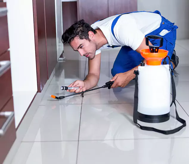 Advanced Slab Termite Treatment Experts You Can Trust&nbsp;in Fort Myers, FL