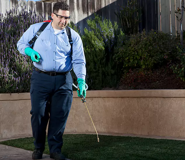 Reliable Termite Barrier Treatment Experts in Fort Myers, FL