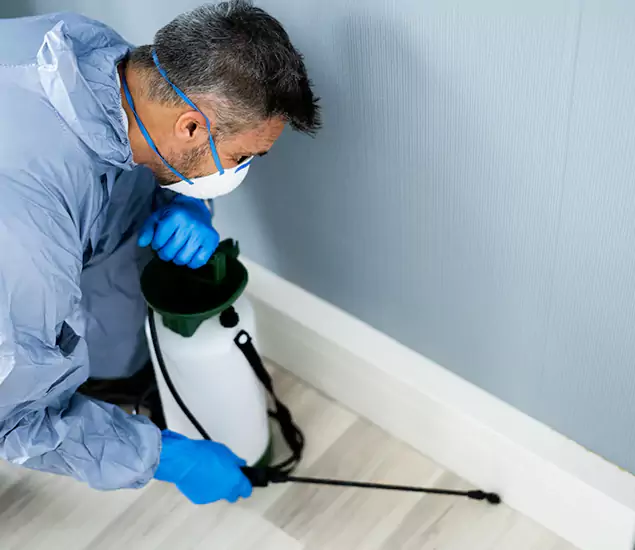 Reliable Termite Cost Experts in Fort Myers, FL