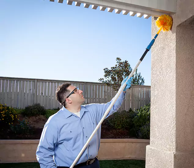 Your Trusted Wasp Removal Company in Fort Myers, FL