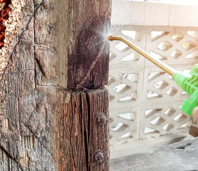 About Wood Termite Treatment Services in Fort Myers, FL