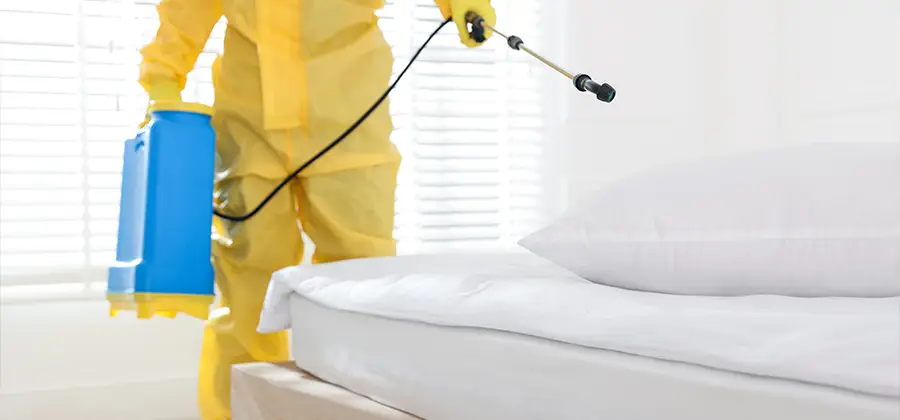 Targeted Chemical Application in Fort Myers