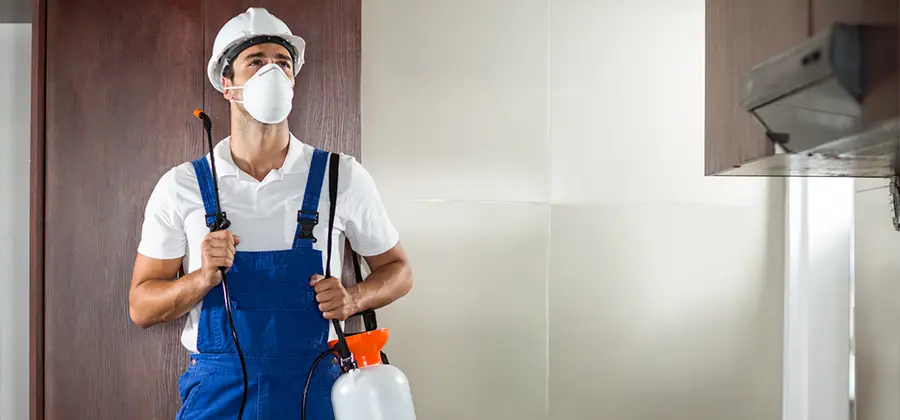 Per Room Bed Bug Cost in Fort Myers