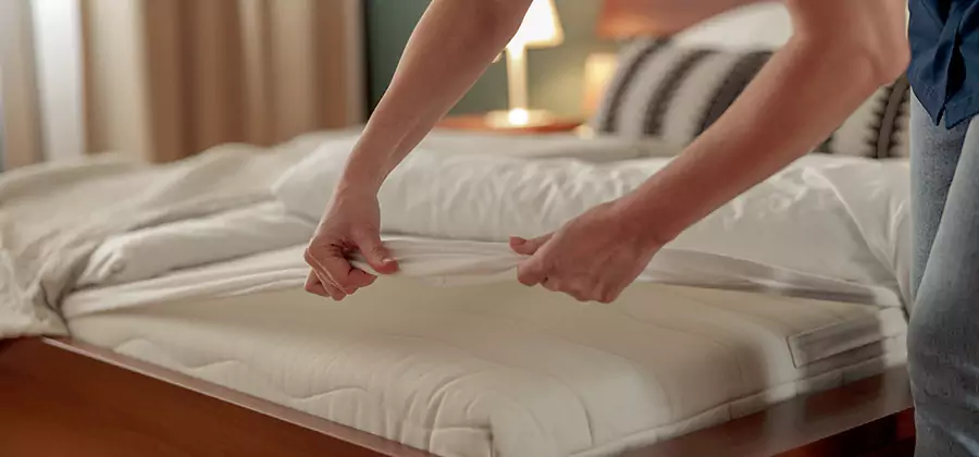 Bed Bug Extermination Services in Fort Myers