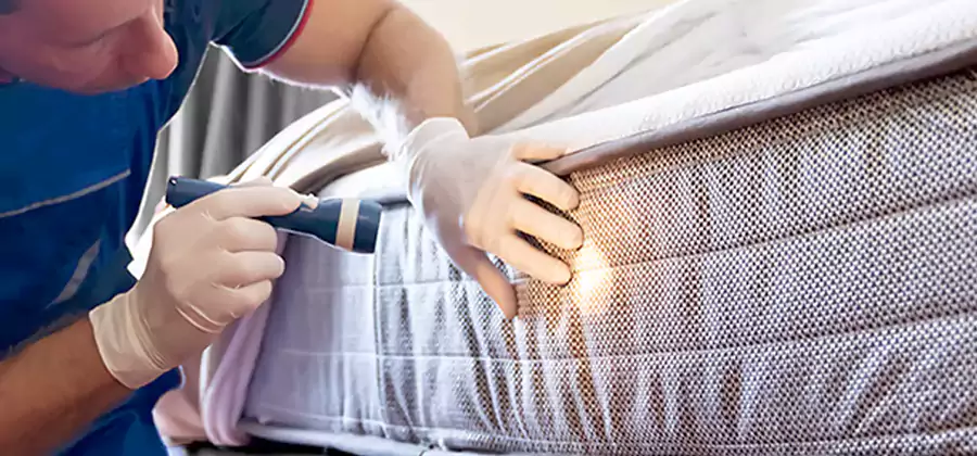 Residential Bed Bug Treatment Cost in Fort Myers