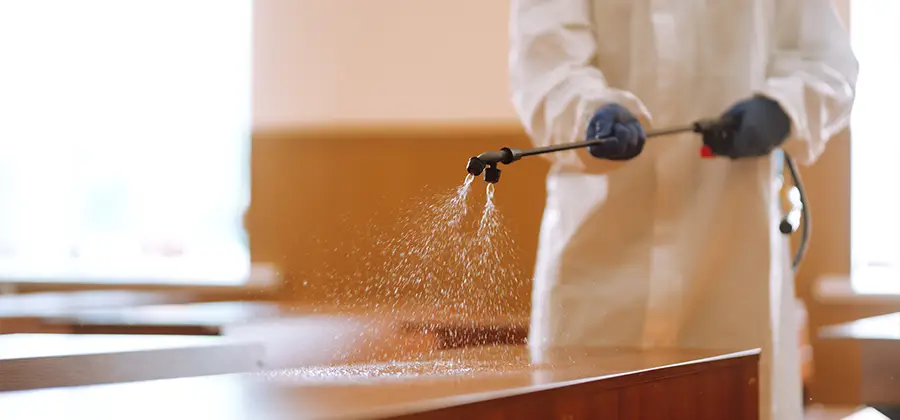 Residential Bed Bug Treatment Option in Fort Myers